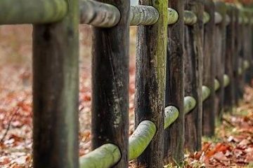 Ut non porro sit nulla consectetur.