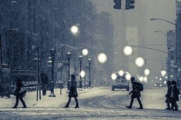 Similique dolor quisquam quasi nemo.